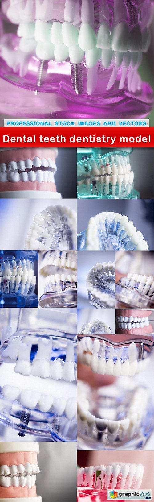 Dental teeth dentistry model - 15 UHQ JPEG