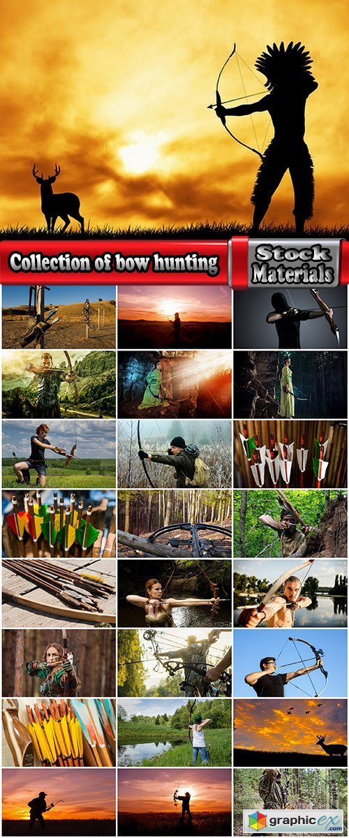 Collection of bow hunting hunter forest production arrow bowstring prey 25 HQ Jpeg