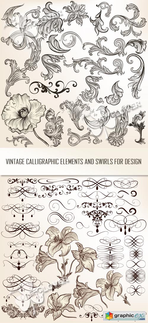 Vector Vintage calligraphic elements and swirls for design 0513