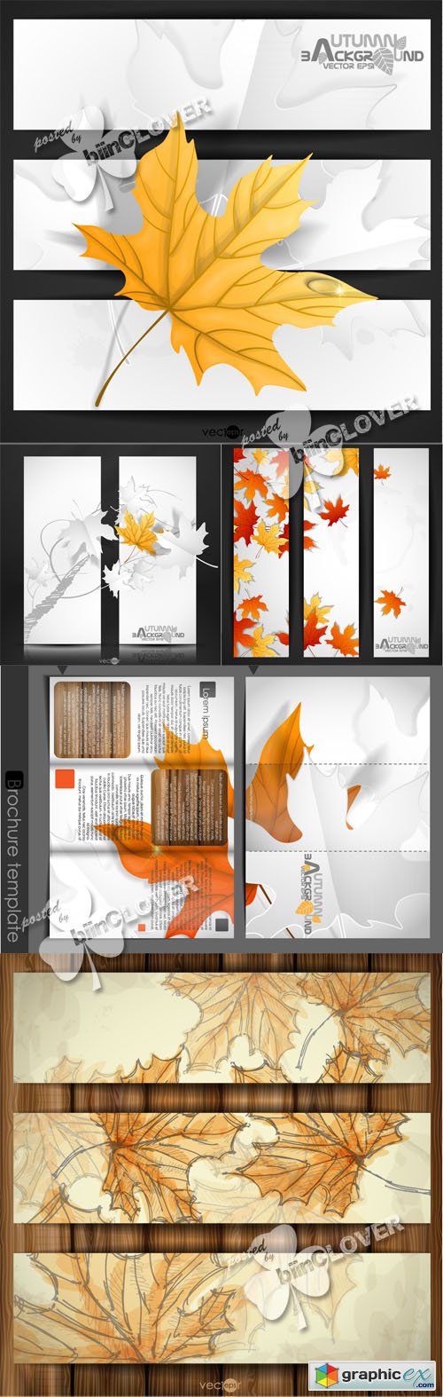 Vector Autumn leaves background 0502