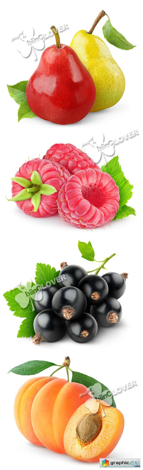Stock Image Fresh fruits and berries 0499