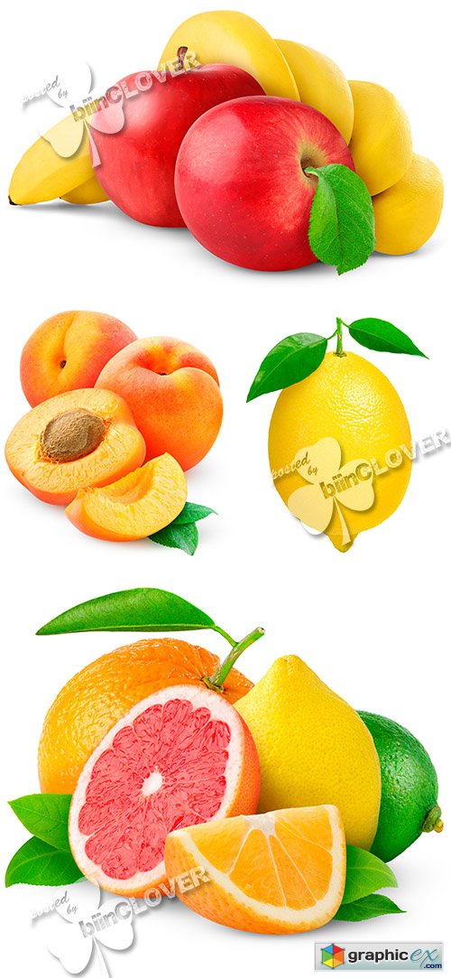Fresh fruits and citrus 0490