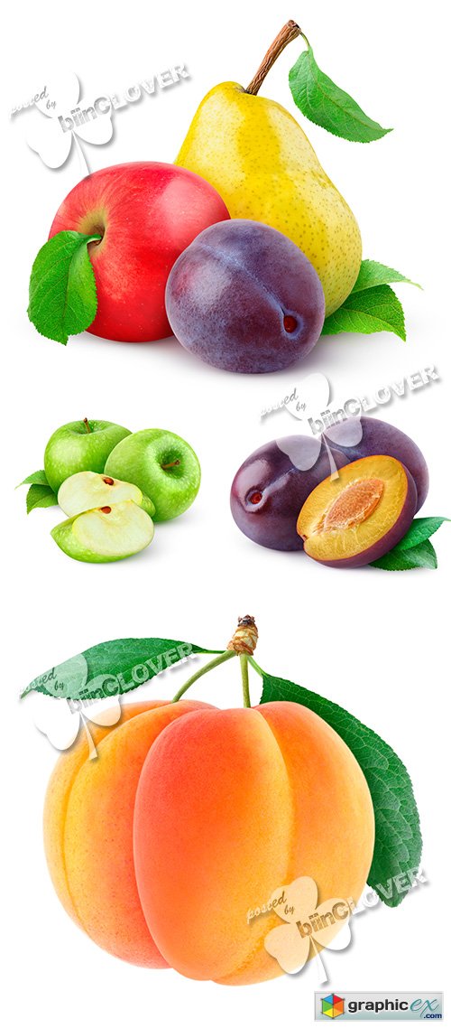 Collection of fruits 0487