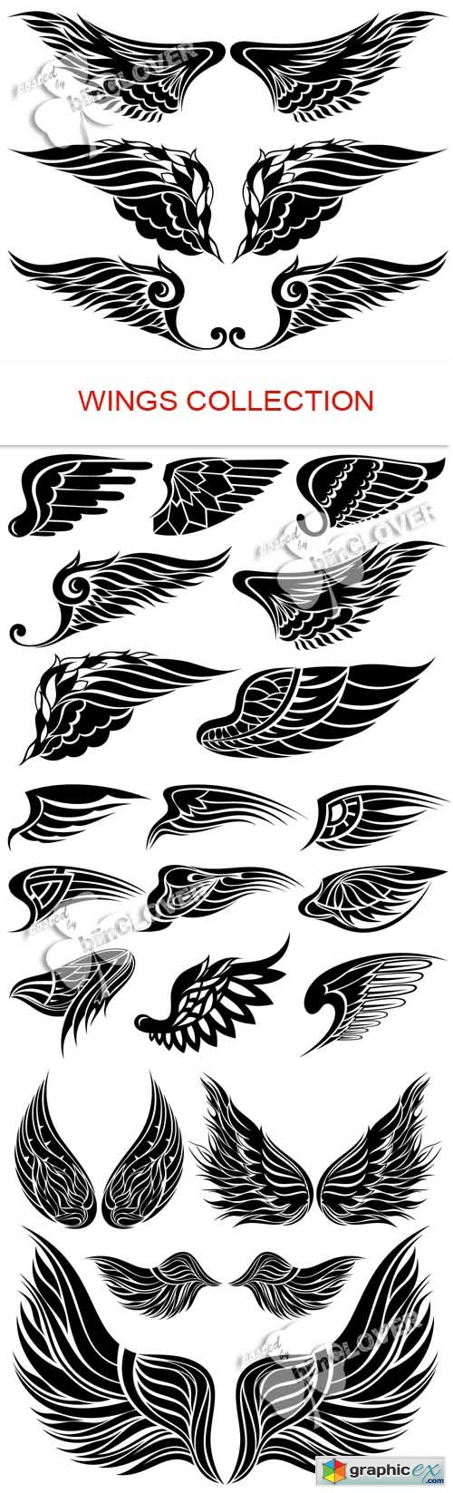 Vector Wings collection 0485