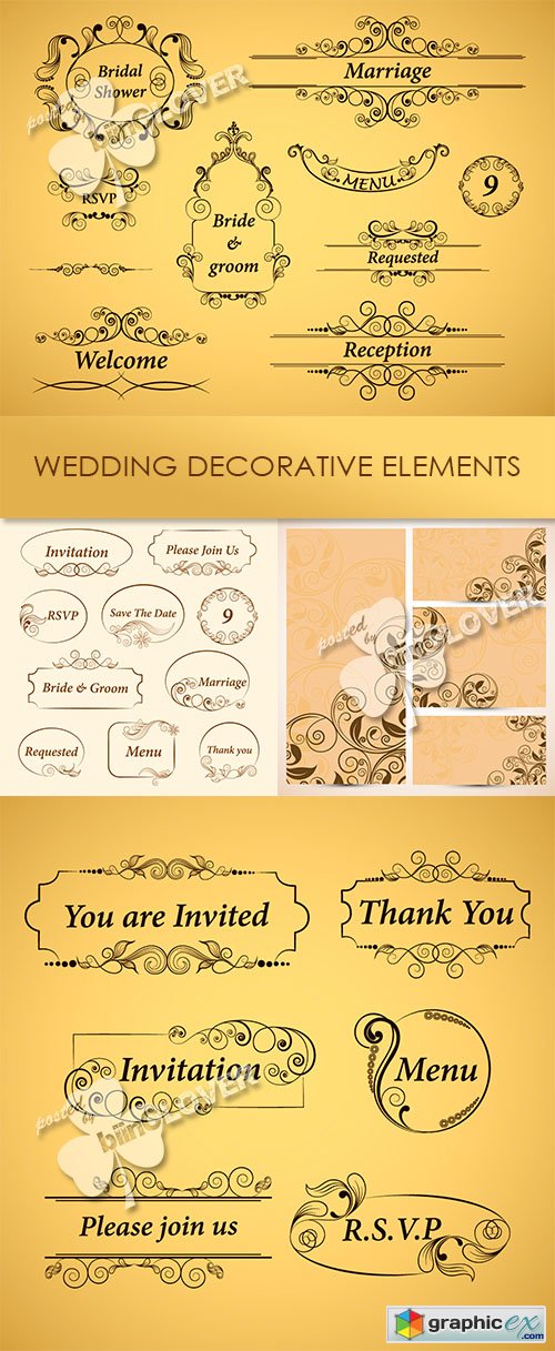 Vector Wedding decorative elements 0480