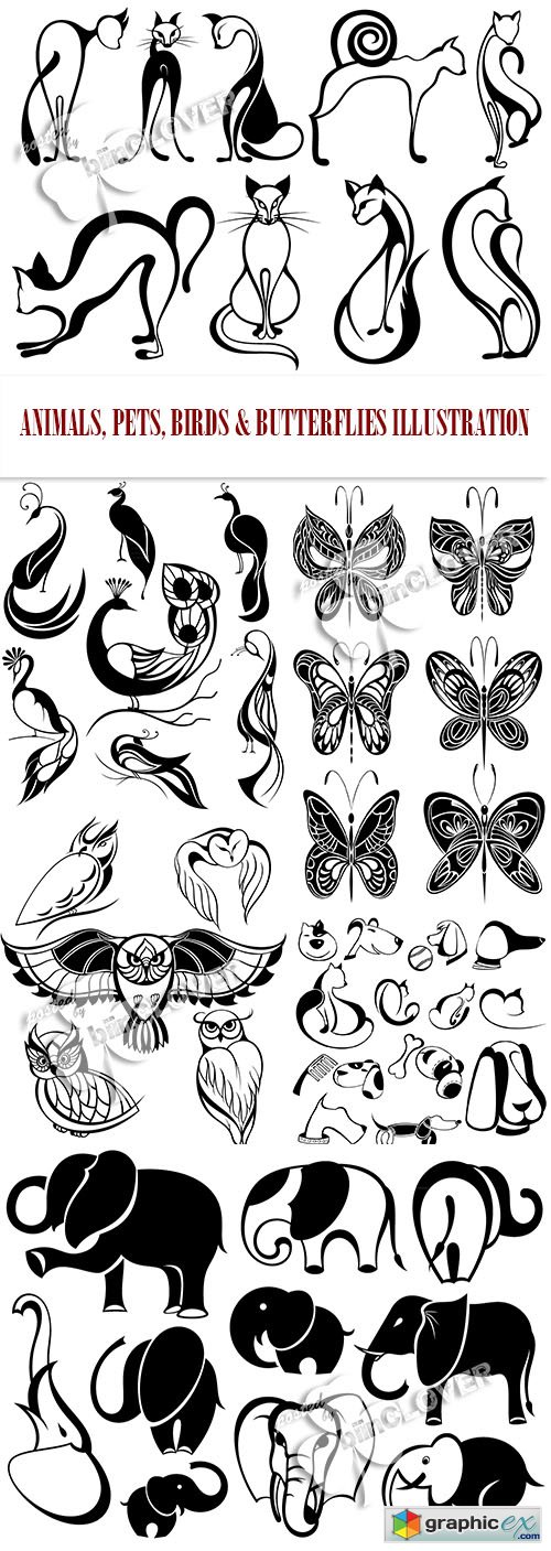 Vector Animals, pets, birds and butterflies illustration 0464