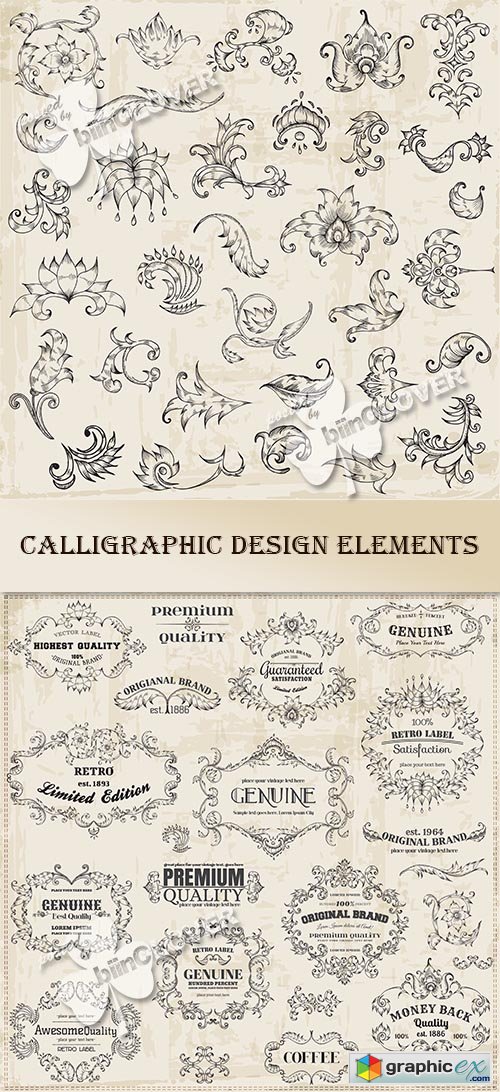 Vector Calligraphic design elements 0464