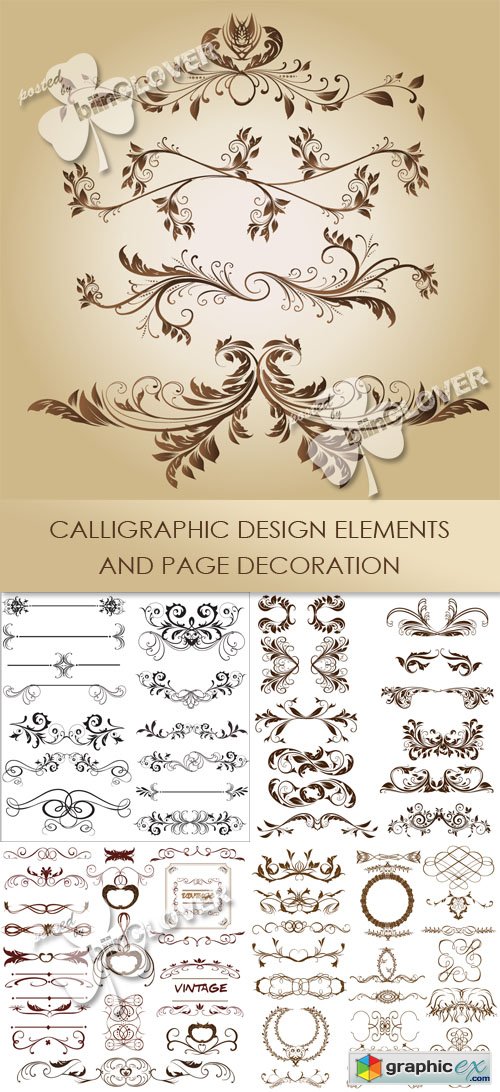 Vector Calligraphic design elements and page decoration 0440