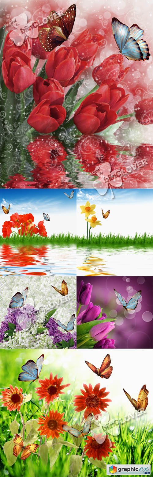 Vector Flowers and butterflies 0431
