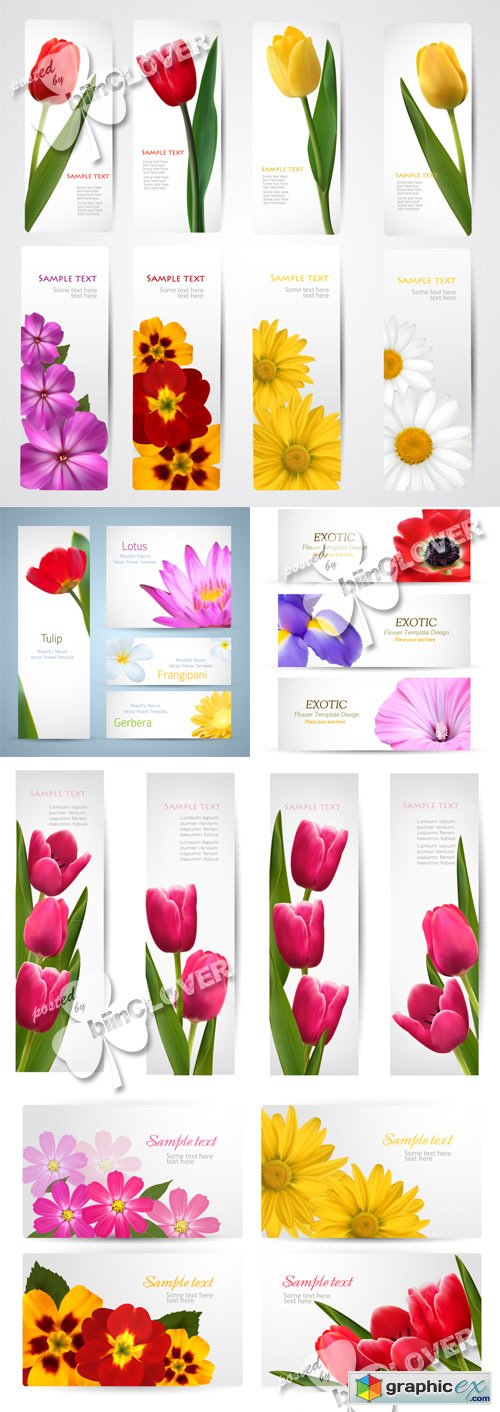 Vector Set of banners with  flowers 0431