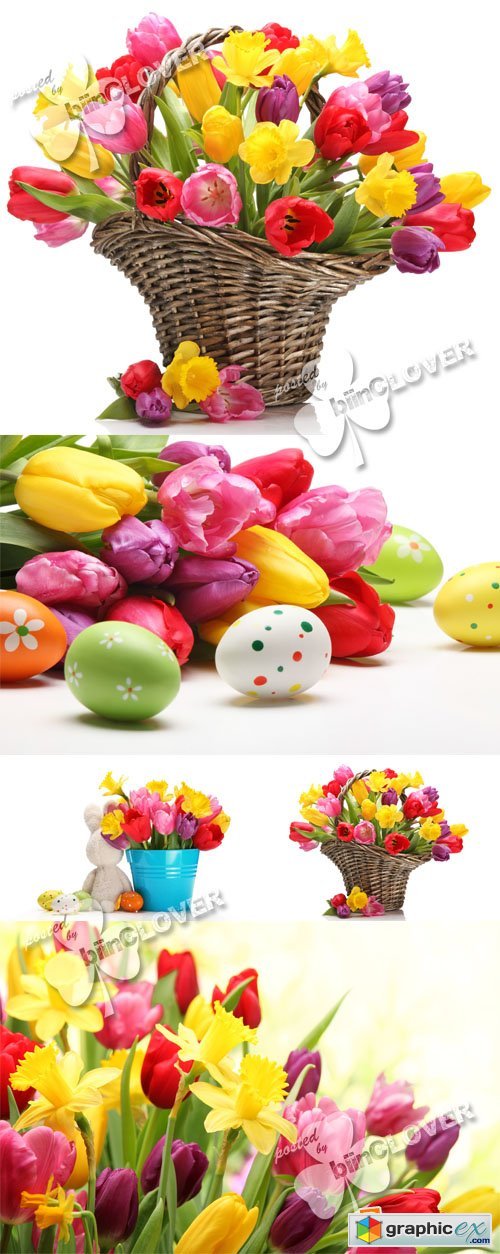 Easter background with tulips 0397