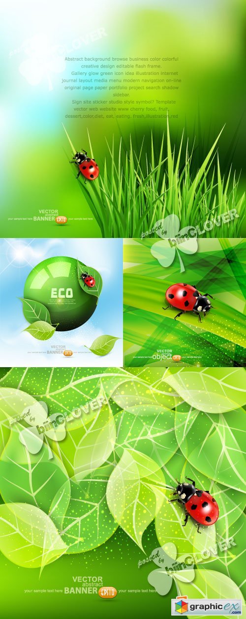 Vector Spring background with ladybug 0375