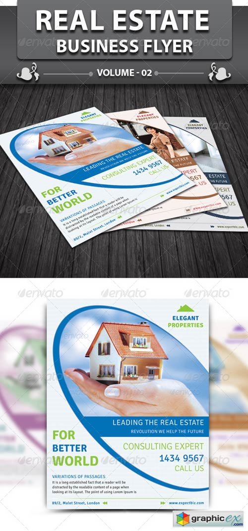 Real Estate Business Flyer v2