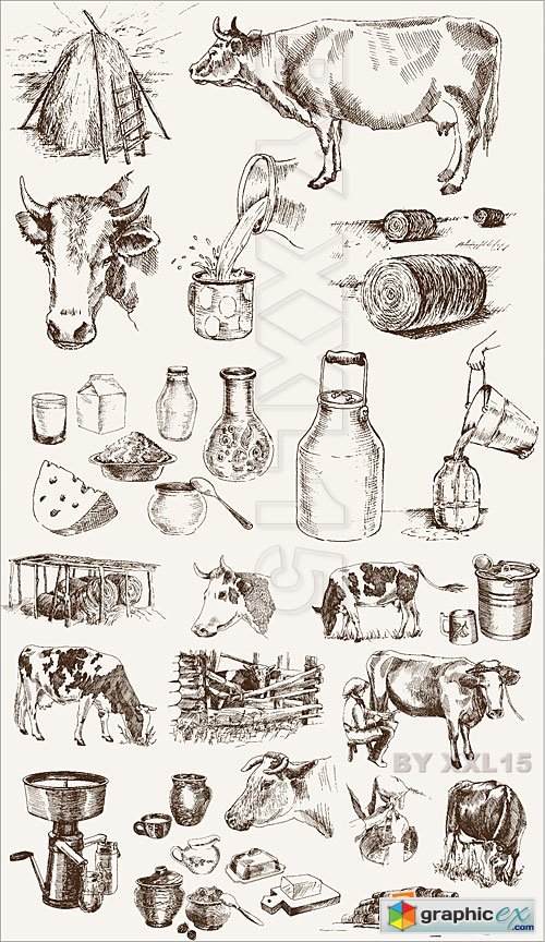 Vector Cow and milk products