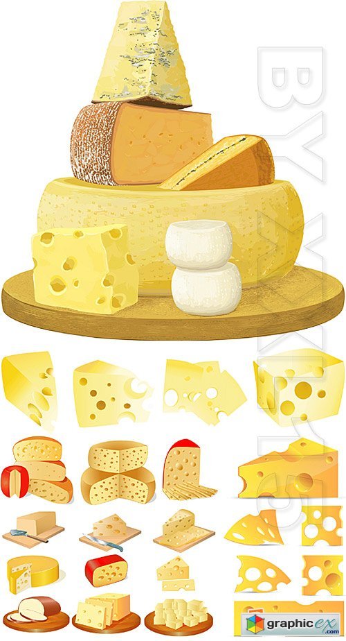 Vector Different types of cheese