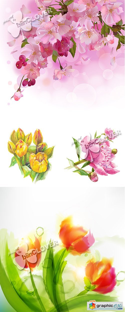 Vector Spring background with branch of beautiful flowers 0577