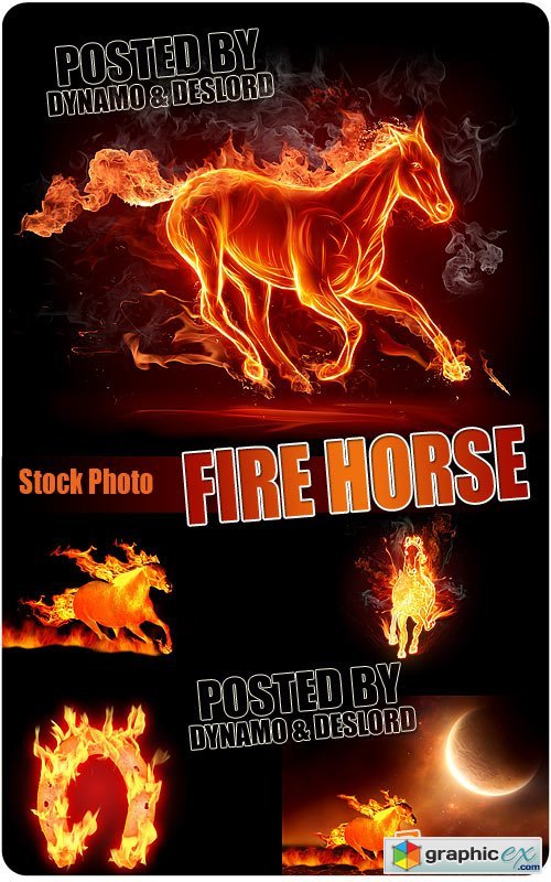 Fire Horse - UHQ Stock Photo