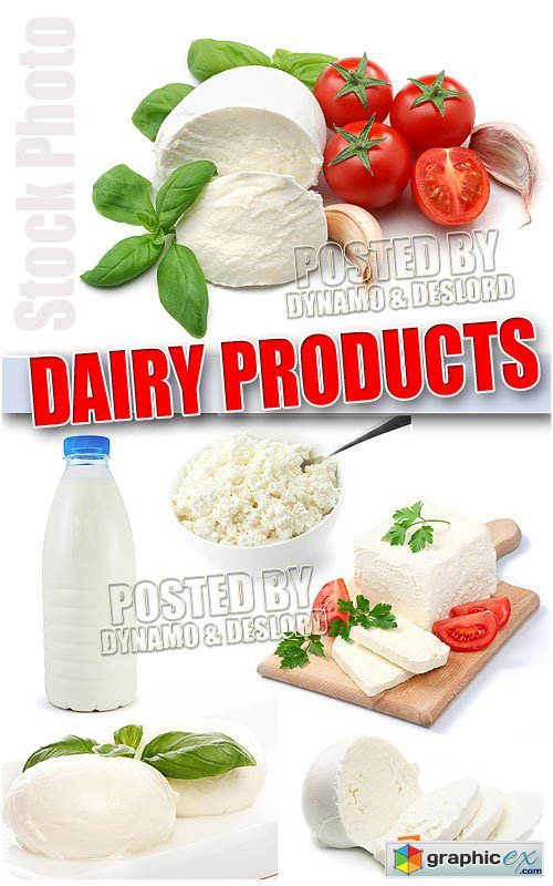 Dairy products - UHQ Stock Photo
