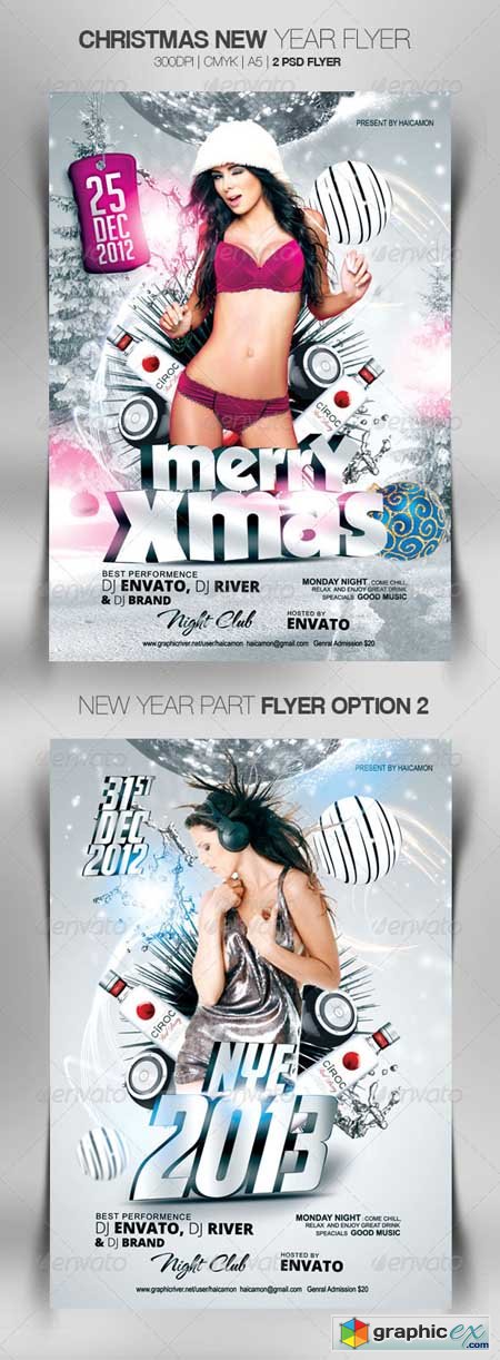 Christmas New Year Flyer 3578739