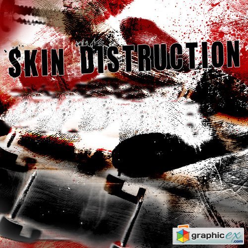 Skin Distruction Brushes