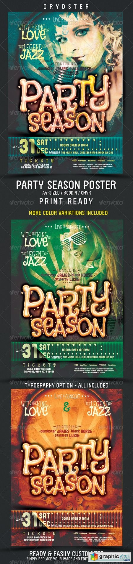 Party Season Flyer - Poster