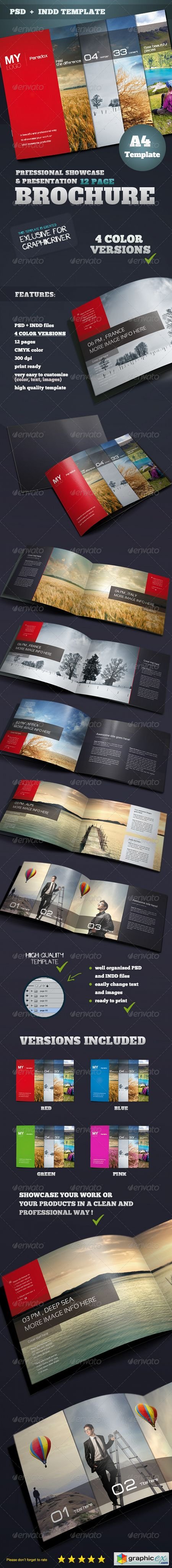 Portfolio & Showcase Brochure