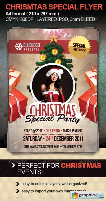 Christmas Special Party Flyer 1048799