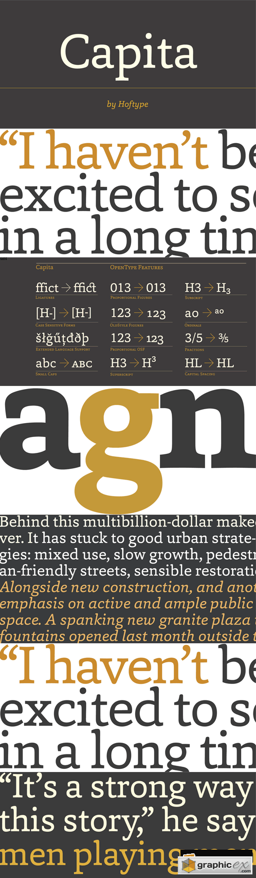 Capita Font Family - 12 Fonts for $198