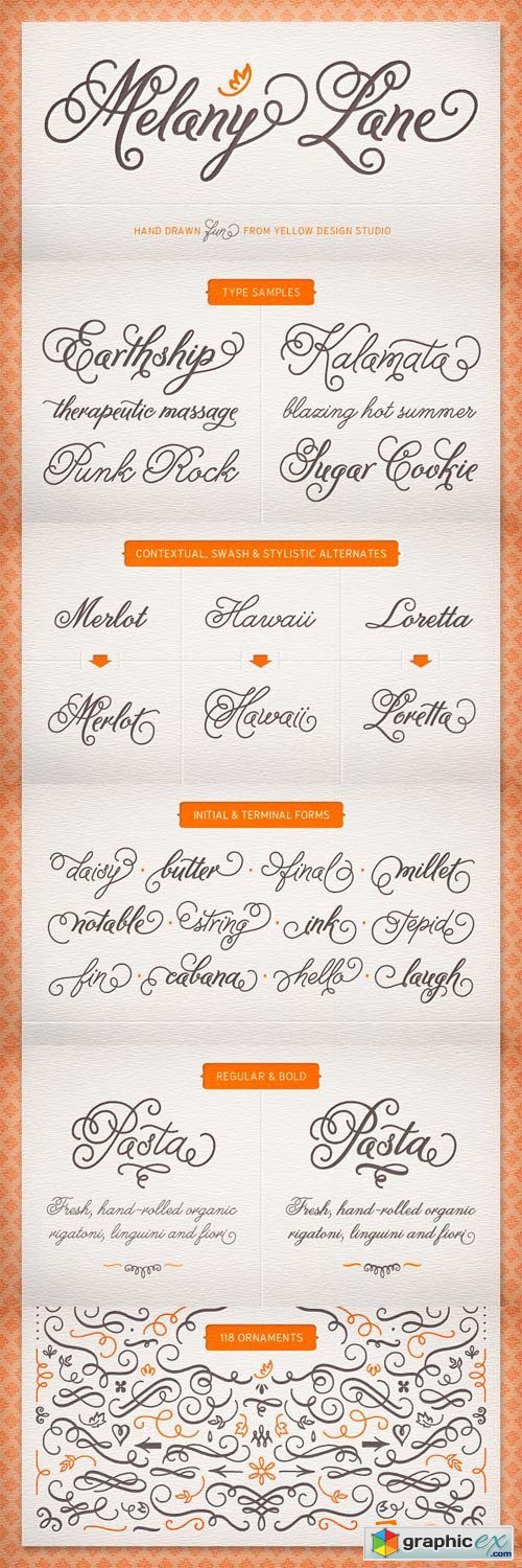 Melany Lane Font Family - 5 Fonts for $49