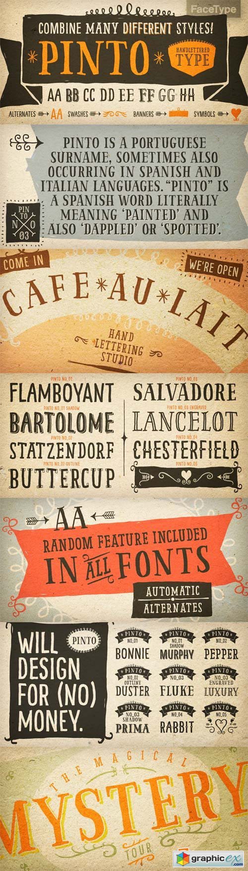 Pinto Font Family - 14 Fonts for $29