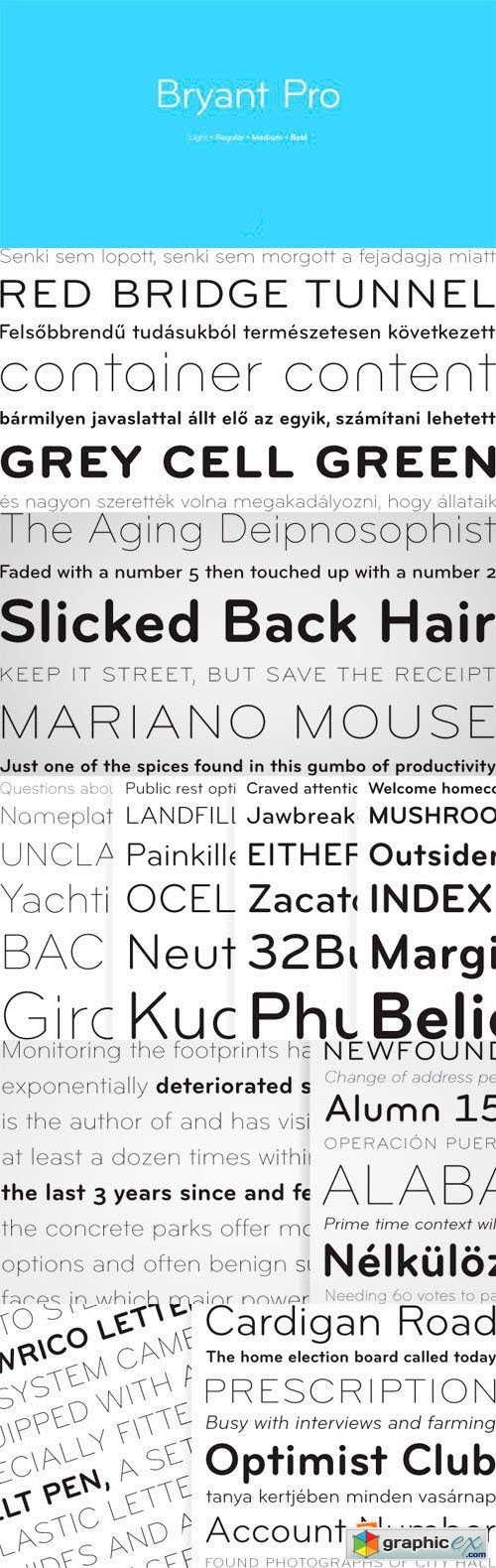 Bryant Pro Font Family - 12 Fonts for $275