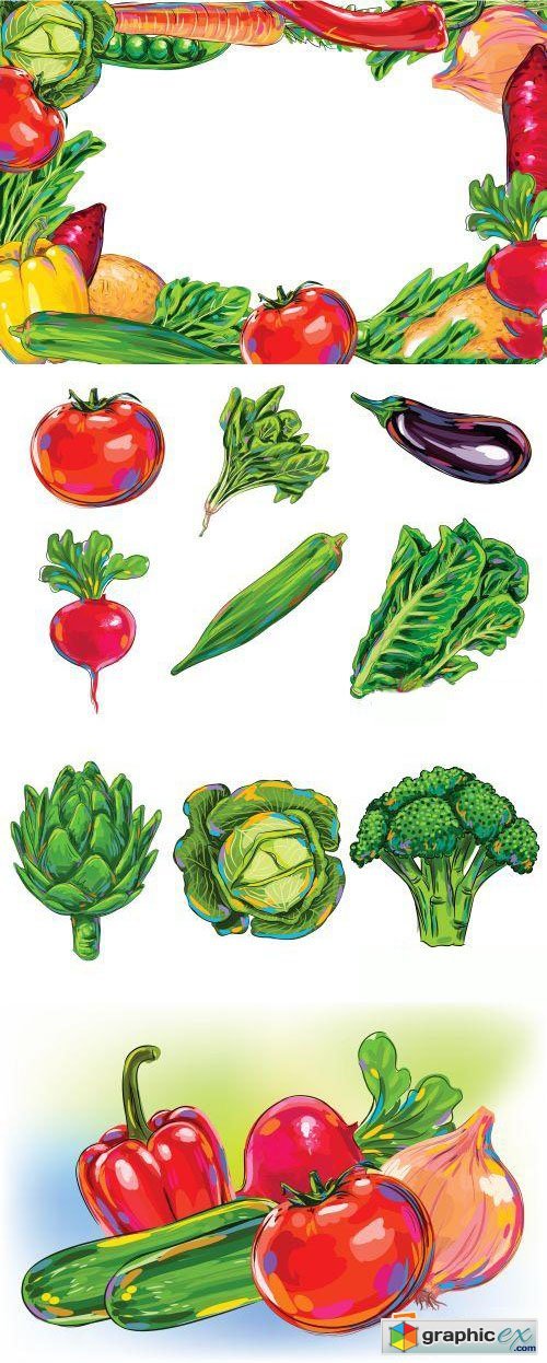 Amazing Vegetable Vector Illustrations 100xEPS