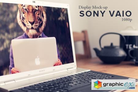 Creativemarket Sony Vaio HD Display Mockup 29256
