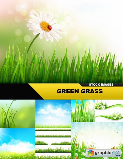 Green Grass - 25 Vector