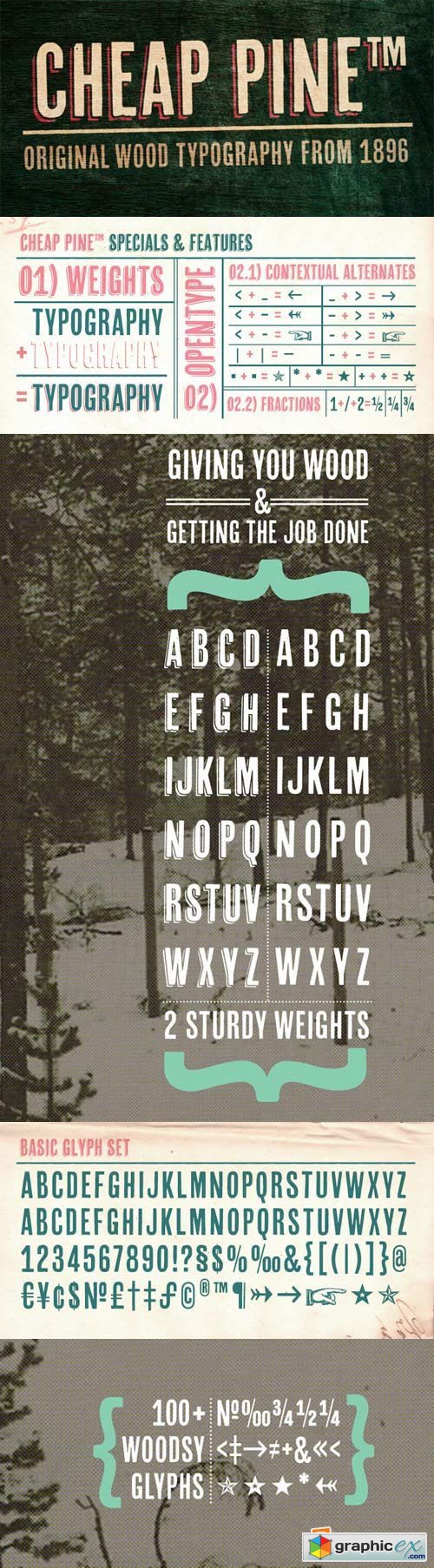 Cheap Pine Font Family - 3 Fonts