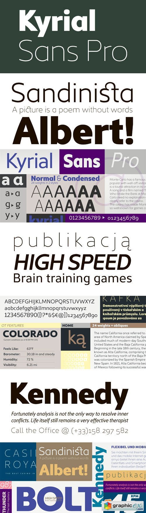 Kyrial Sans Pro Font Family - 12 Fonts (Incomplete Family) for $299