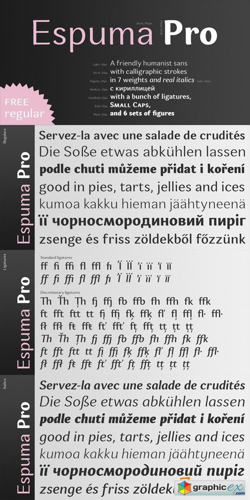 Espuma Pro Font Family - 14 Fonts for $260