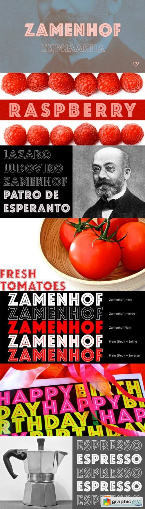 Zamenhof Font Family - 4 Fonts for $99