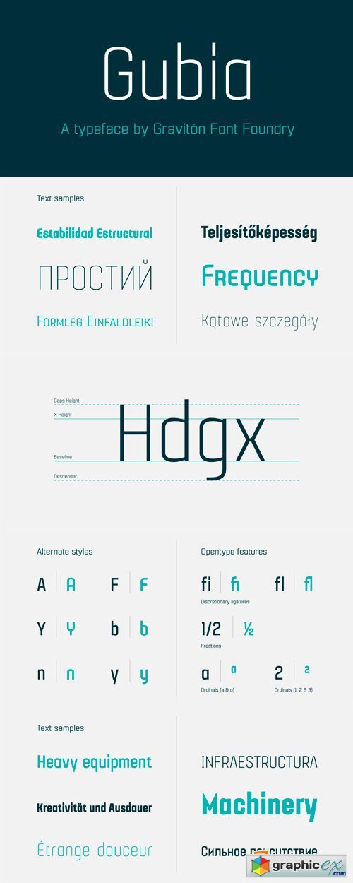 Gubia Font Family - 8 Fonts for $150