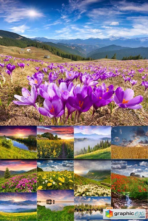 Beautiful landscape with mountains and flowers, 25xJPGs