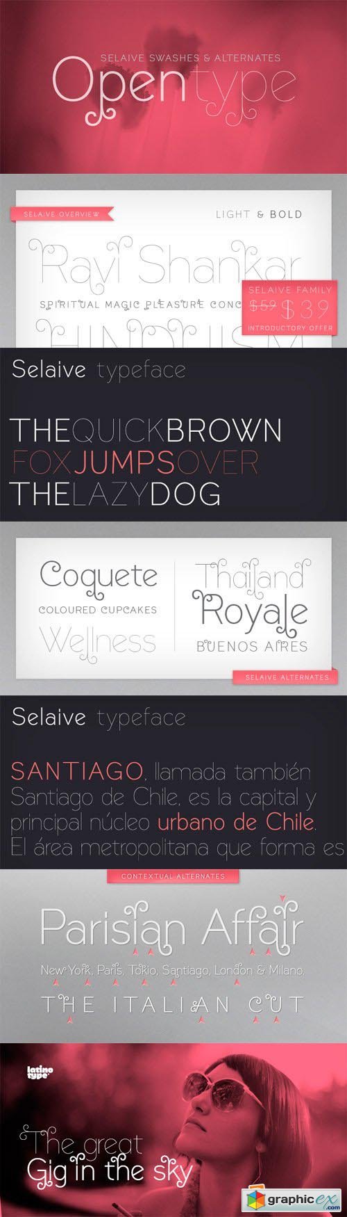 Selaive Font Family - 2 Fonts for $59