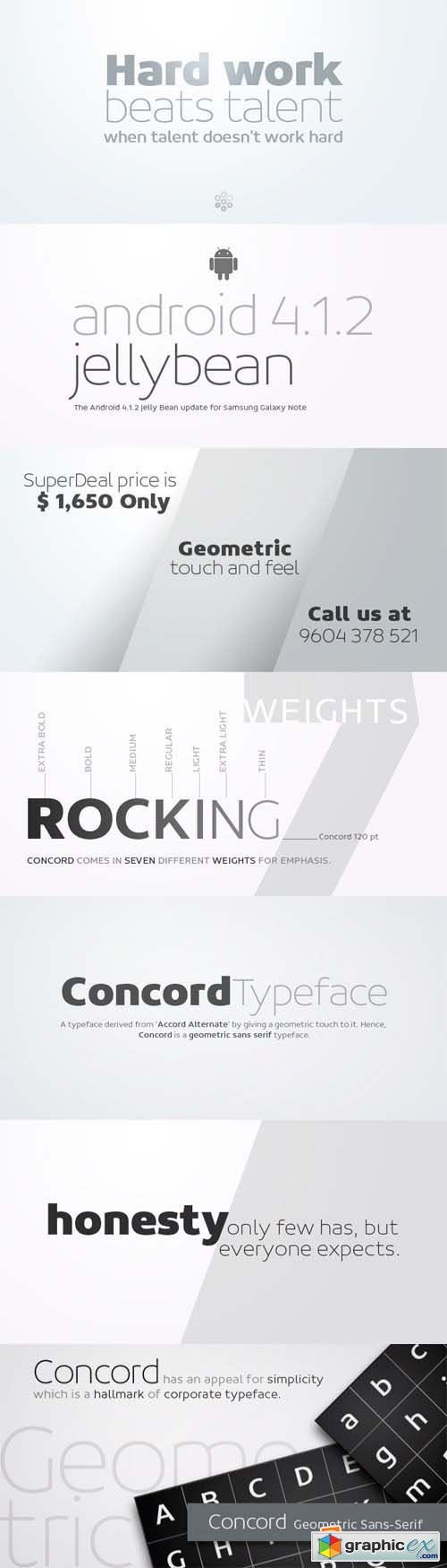 Concord Font Family - 7 Fonts for $525