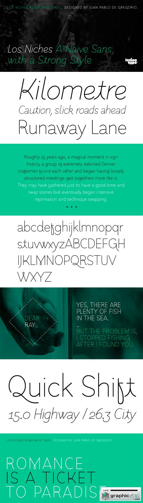 Los Niches Font Family - 2 Fonts for $59