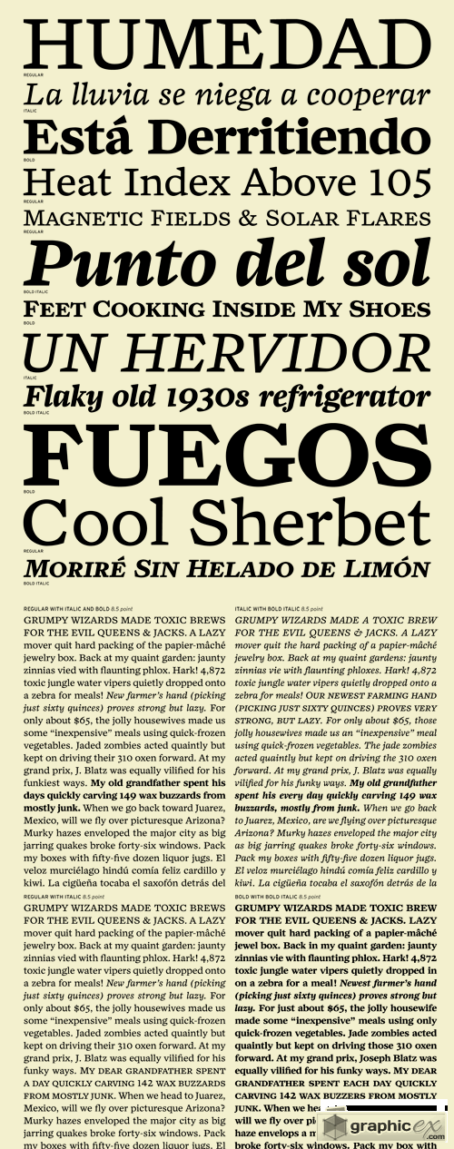 Zocalo Text Font Family - 12 Fonts for $210