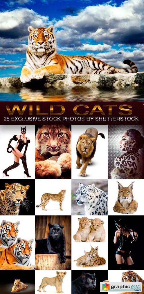 Wild Cats 25xJPG