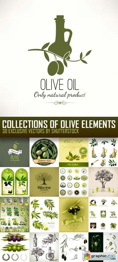 Collections of Olive Elements 30xEPS