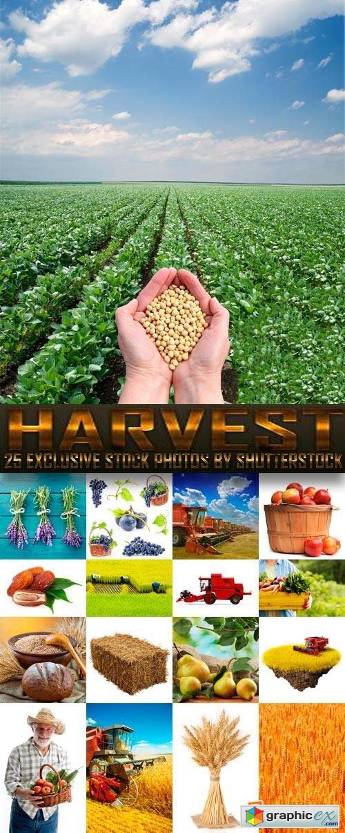 Harvest Home 25xJPG