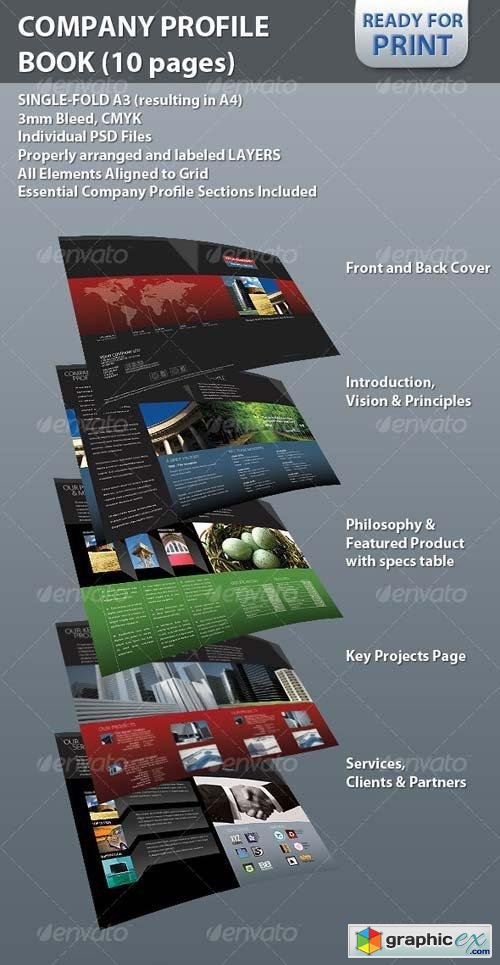 Professional Company Profile Brochure (10 pages)
