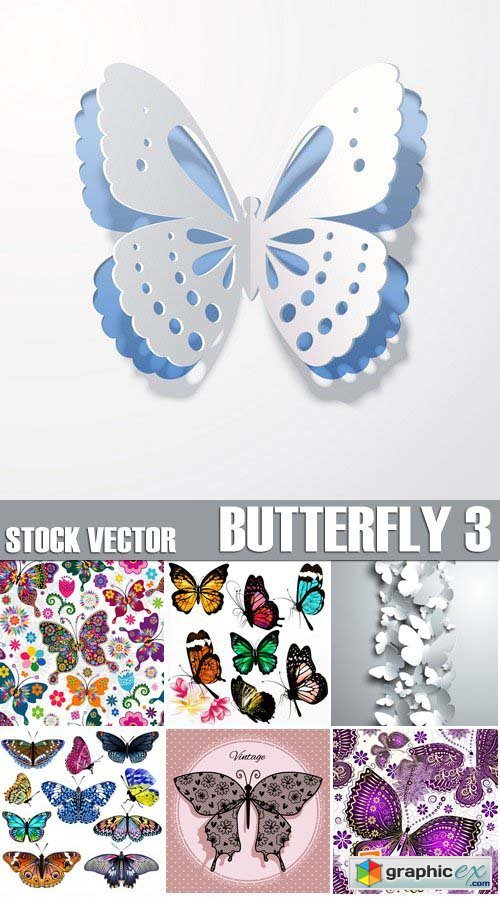 Stock Vectors - Butterfly 3, 25xEPS