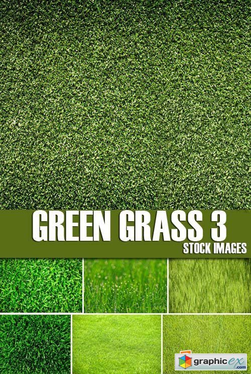 Stock Photos - Green grass 3, 25xJPG